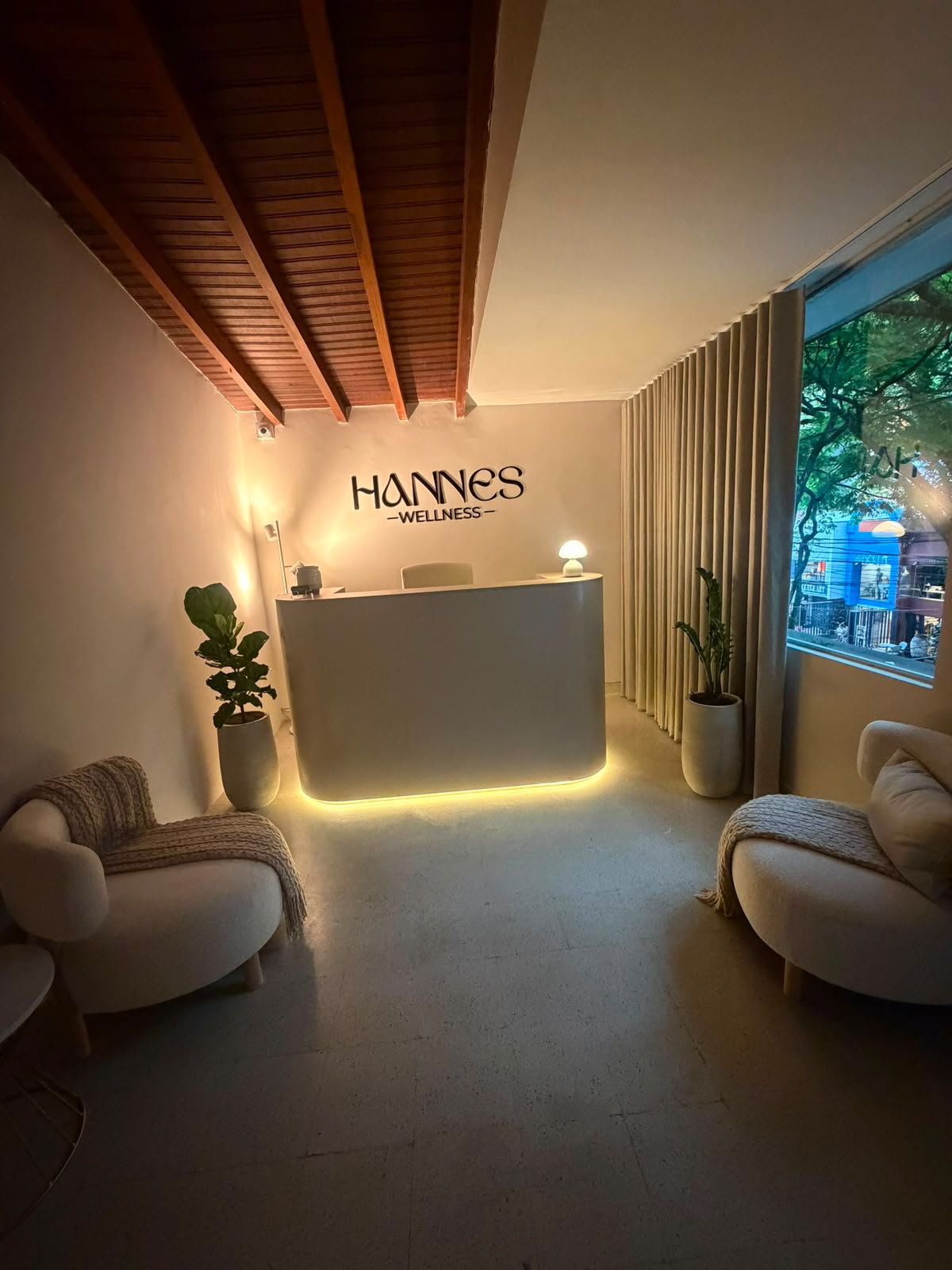 Ambiente cálido de Hannes Wellness